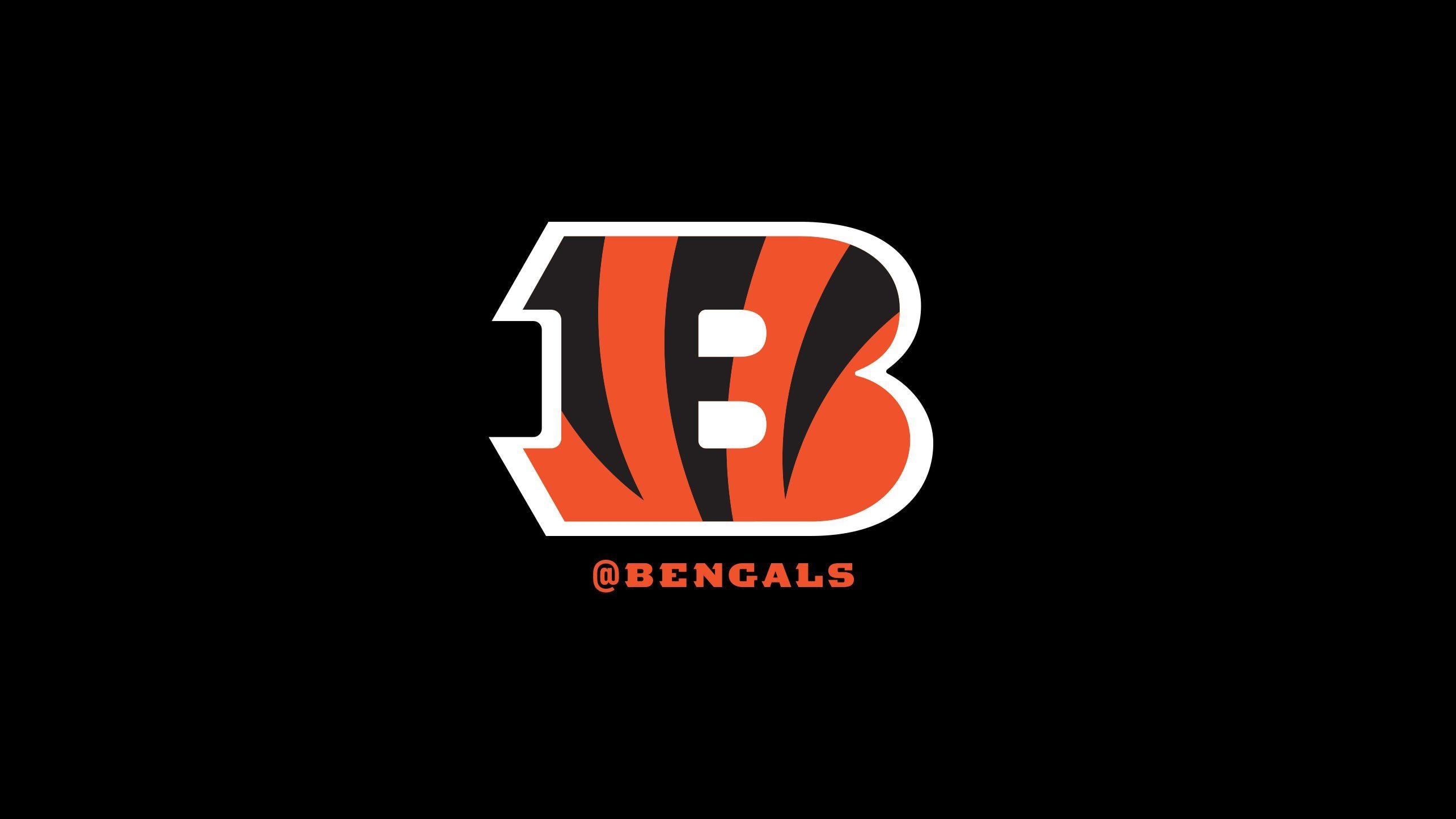 Cincinnati Bengals, Fans, NFL, Team, Grafik, 2570x1450 HD Desktop