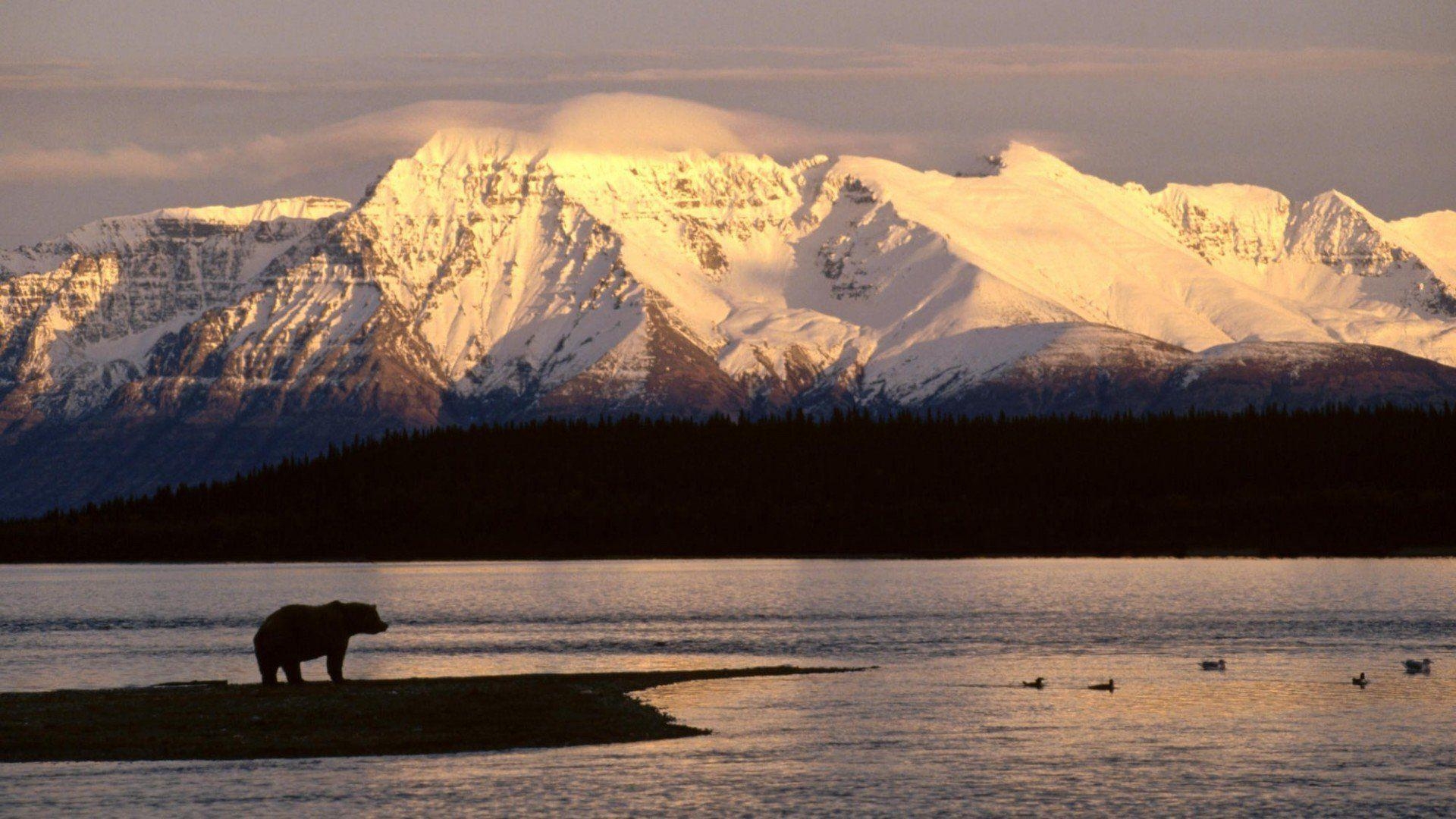 Alaska, Reise, Hochauflösend, Natur, Abenteuer, 1920x1080 Full HD Desktop