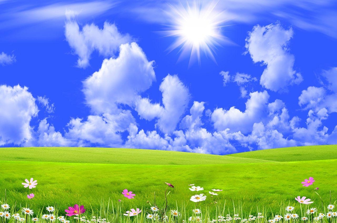 Natur, Himmel, Graslandschaft, Wolken, 1280x850 HD Desktop