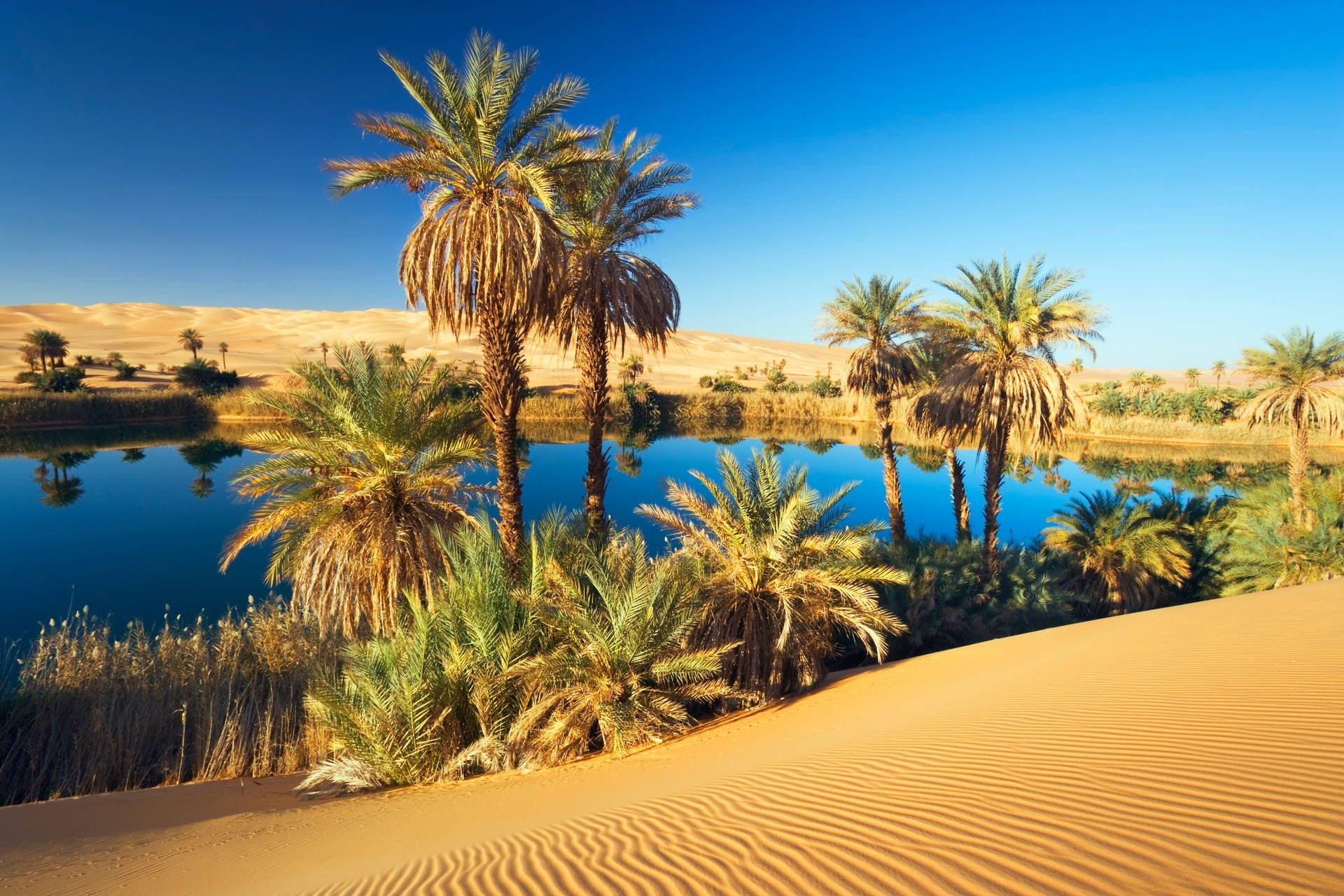 Mauretanien, Oase, Sahara, Natur, Landschaft, 1920x1280 HD Desktop