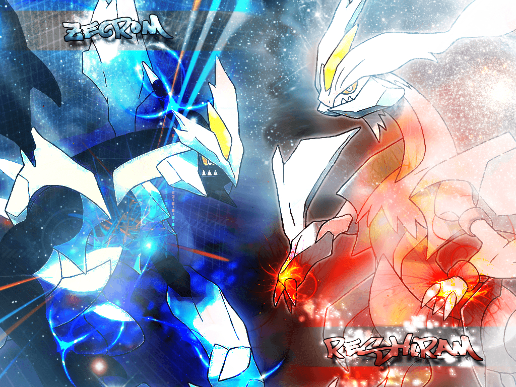 Kyurem Blanco, Schwarz, Anime, Pokémon, 1030x770 HD Desktop