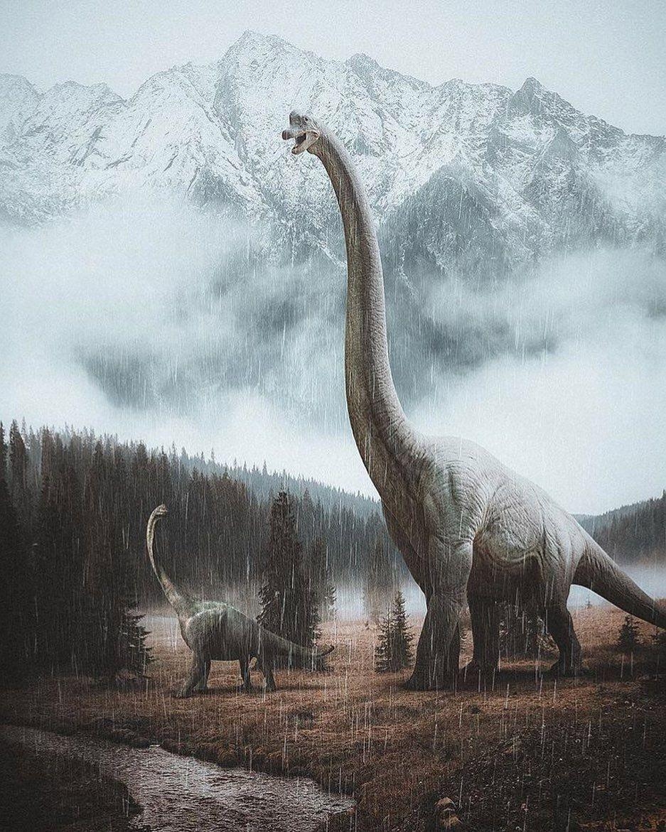 Beste Dinosaurier, Jura, Park, Welt, Bild, 940x1180 HD Handy