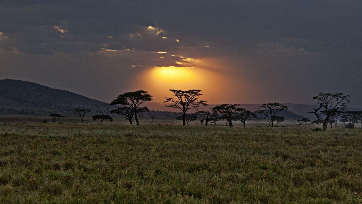 Afrika, Kenia, Savanne, Sonnenuntergang, 1250x700 HD Desktop