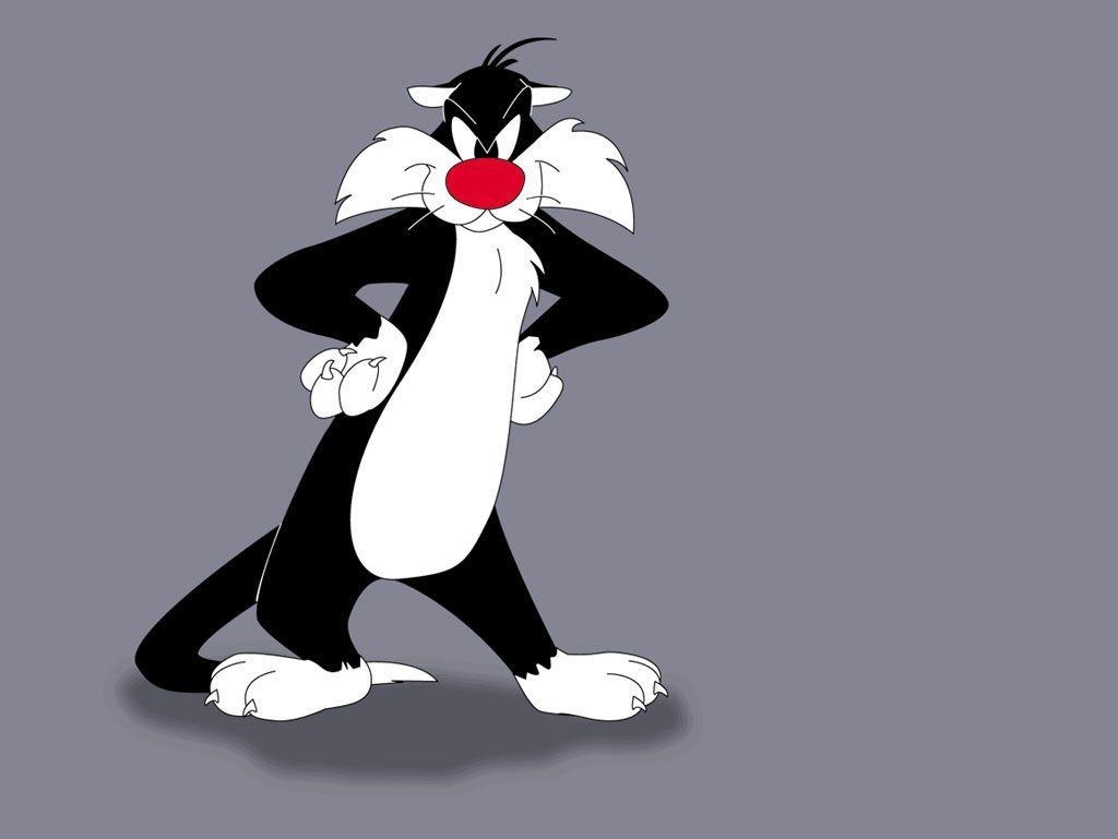 Sylvester, Cartoon, Katze, Warner Bros, Zeichentrick, 1030x770 HD Desktop