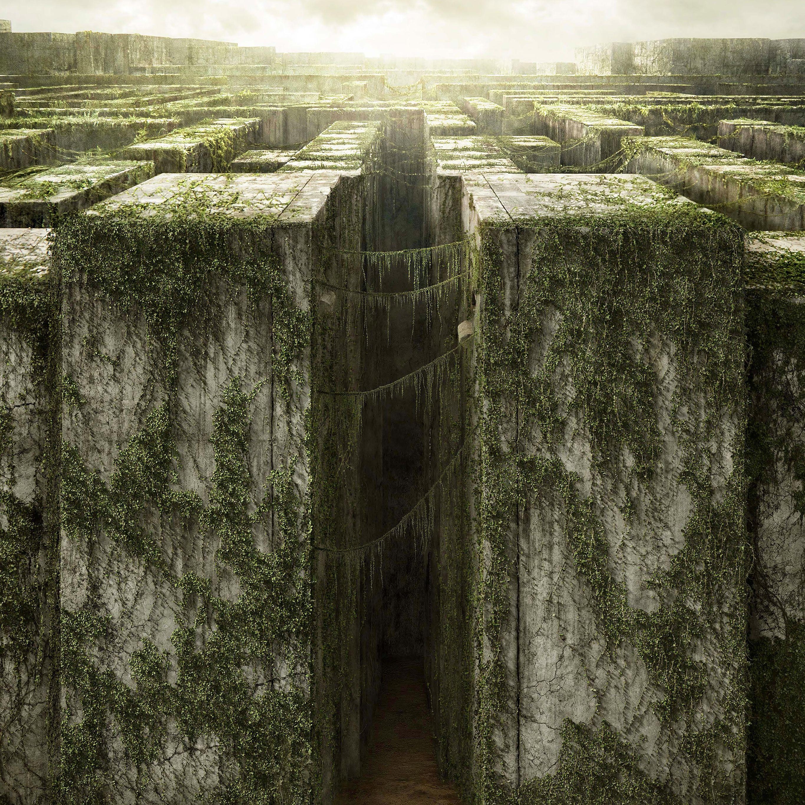 Maze Runner, Poster, Film, Action, Abenteuer, 2740x2740 HD Handy