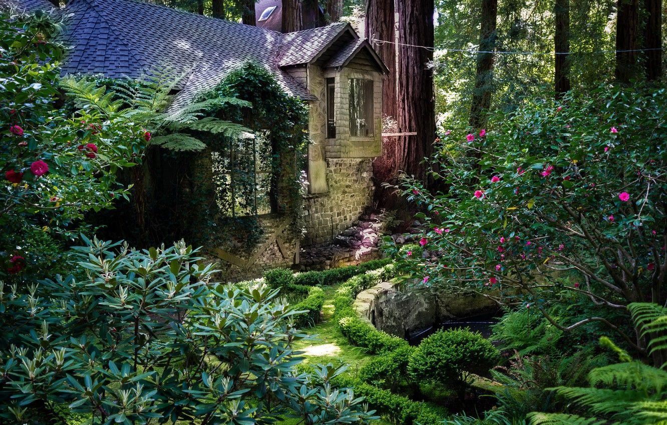 Park, Häuser, Redwood, Kalifornien, USA, 1340x850 HD Desktop