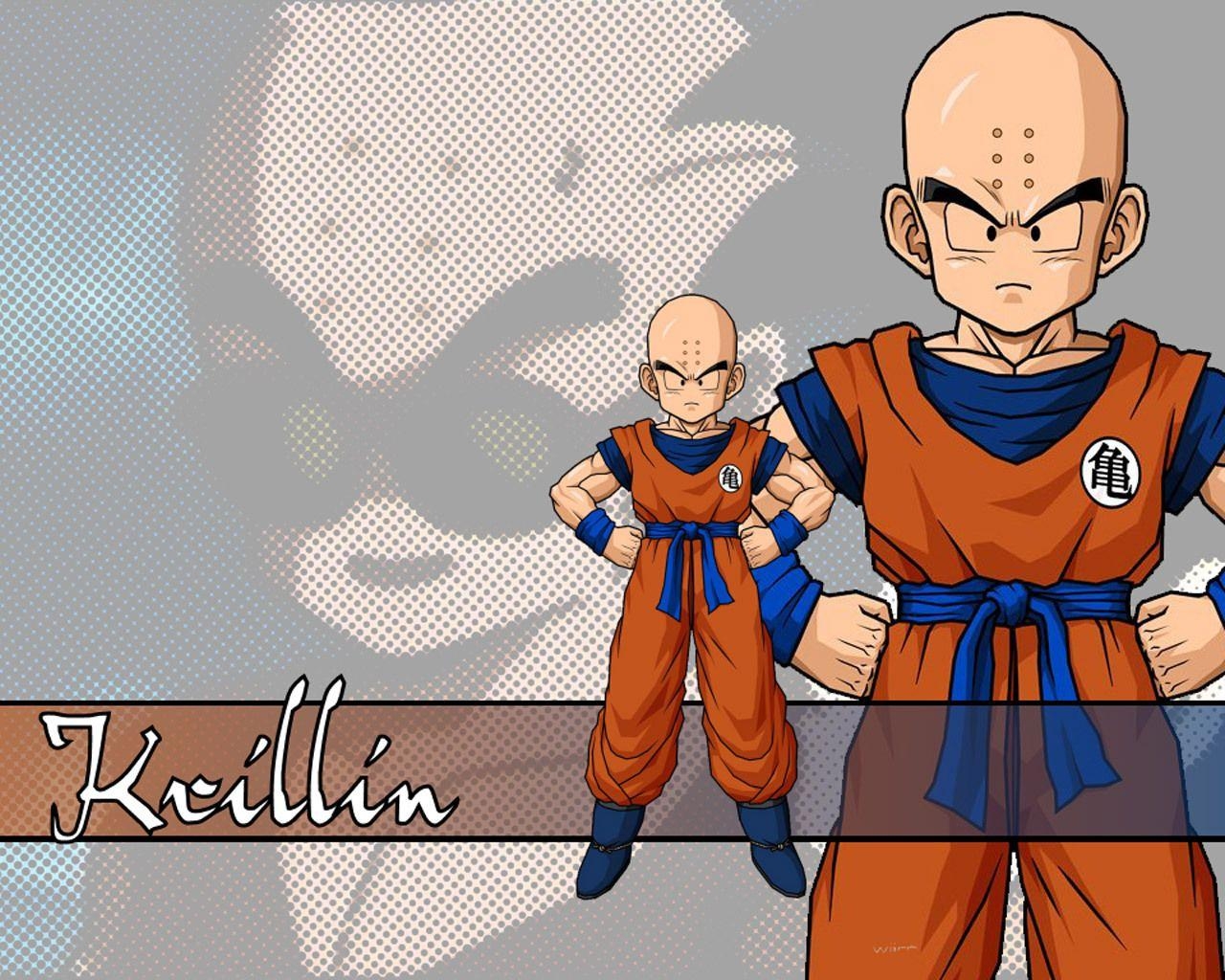 Krillin, Ball Z, Foto, Anime, Charakter, 1280x1030 HD Desktop