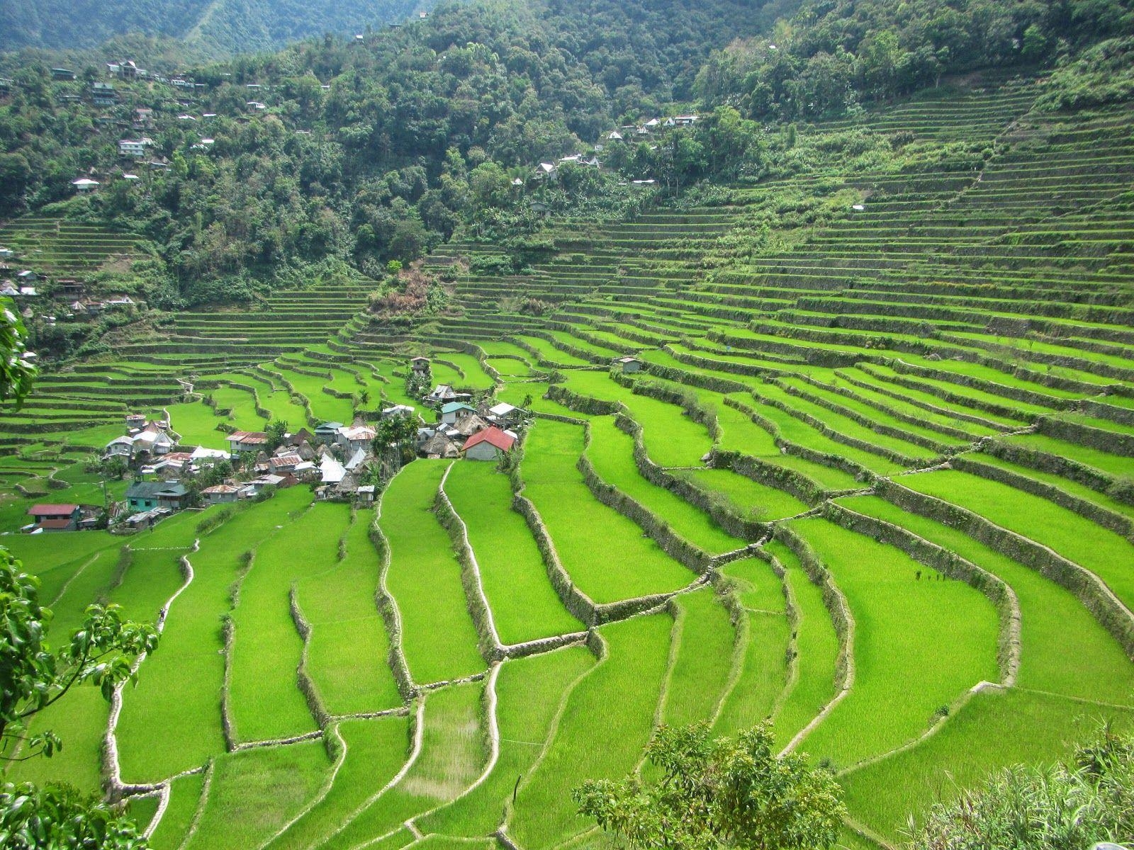 Batad, Reisterrassen, Banaue, Lexikalische Krone, Kultur, 1600x1200 HD Desktop