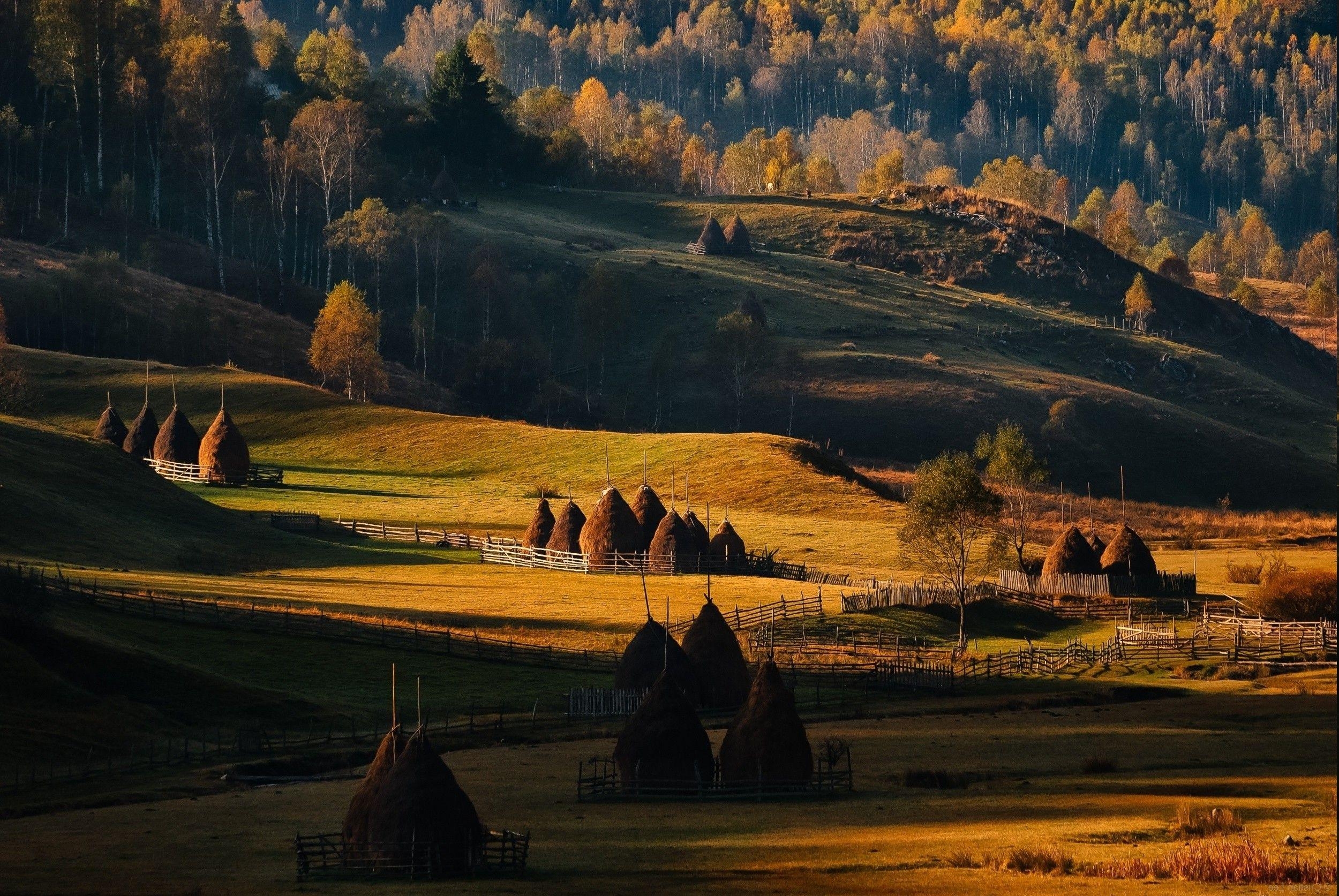 Rumänien, Herbst, Sonnenaufgang, Wald, Natur, 2500x1680 HD Desktop