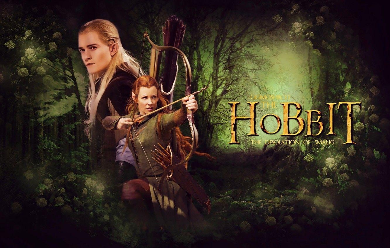 Wald Elfen, Legolas, Hobbit, Tauriel, Bogenschütze, 1340x850 HD Desktop