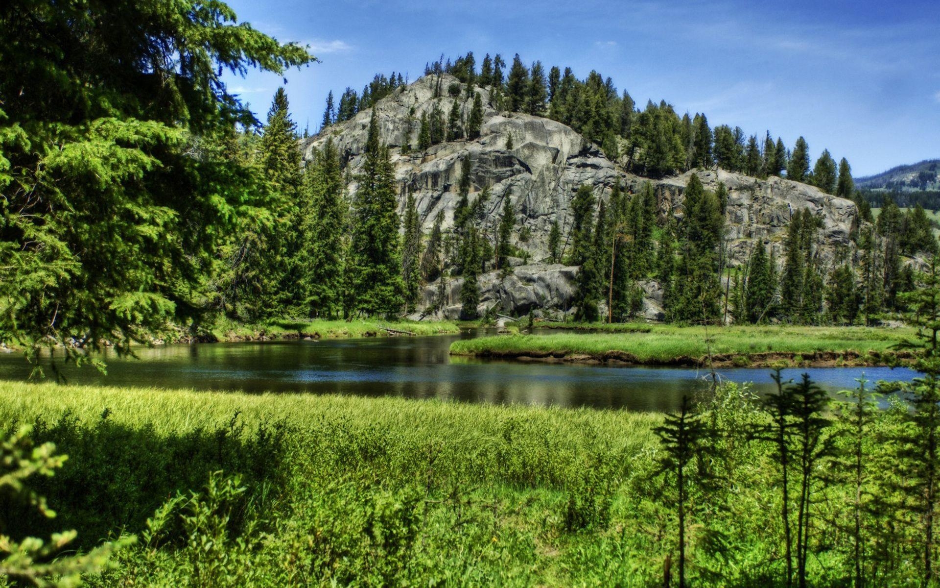 Gebirge, Fluss, Fichte, Yellowstone Nationalpark, USA, 1920x1200 HD Desktop