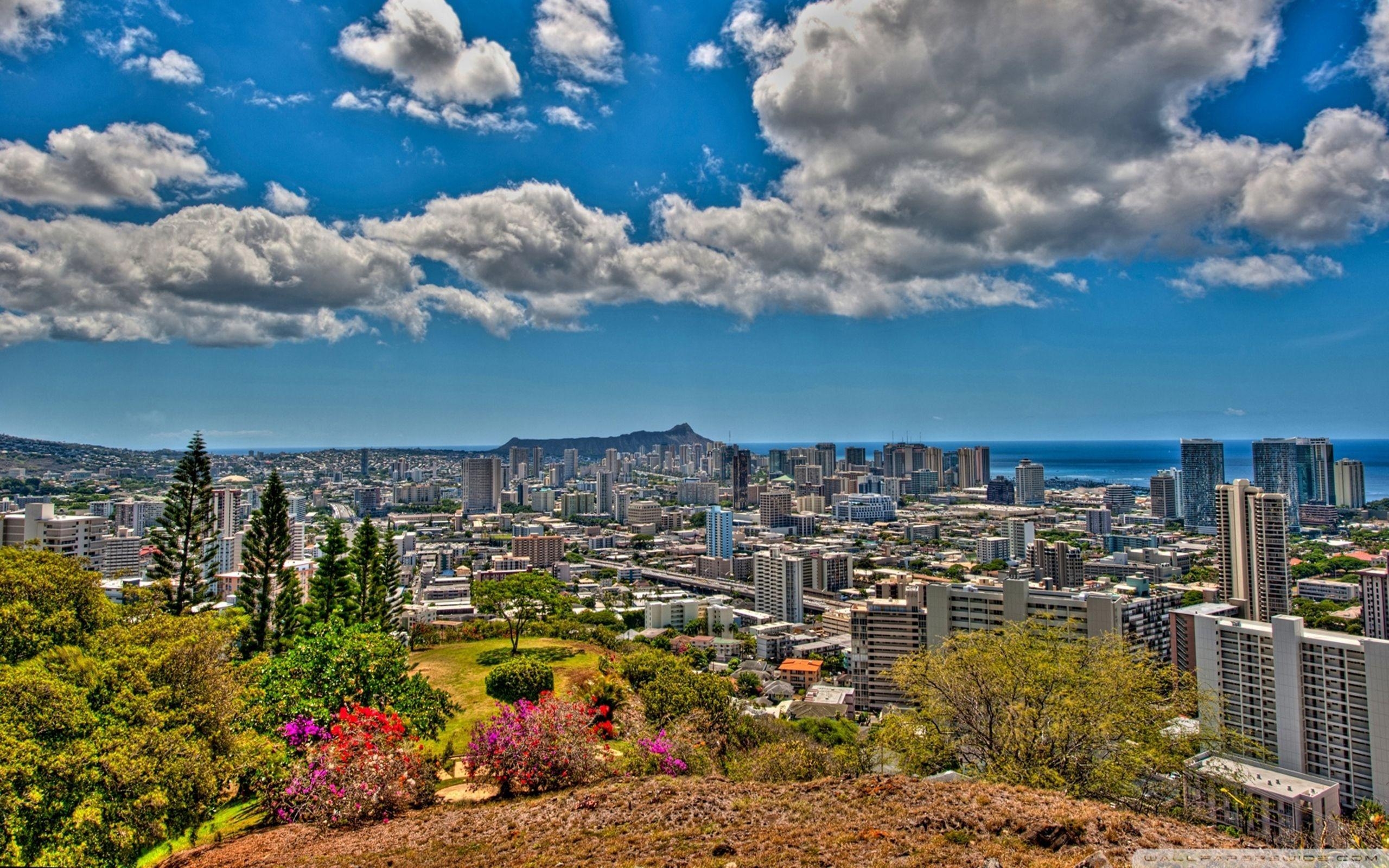 Honolulu, 2560x1600, Download, kostenlos, Hintergrund, 2560x1600 HD Desktop