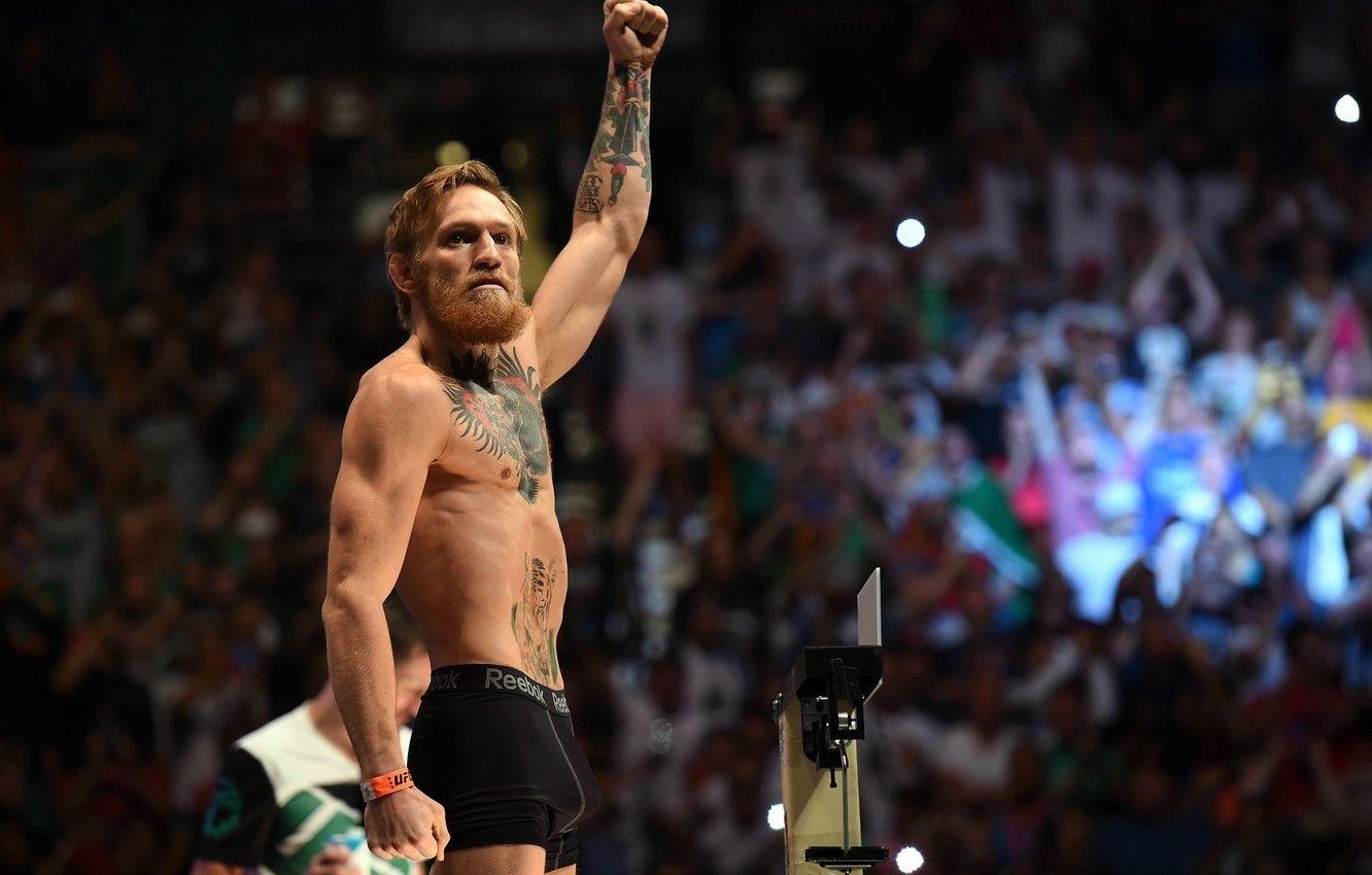 MMA, UFC, Conor McGregor, Bild, Kämpfer, 1340x850 HD Desktop