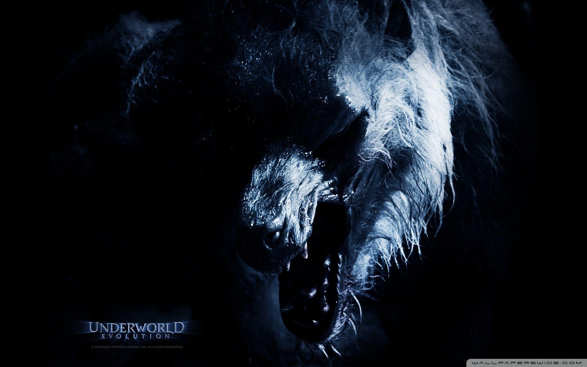 Lykan, Underworld 3, Filmkritik, Beschreibung, Fantasy, 1920x1200 HD Desktop