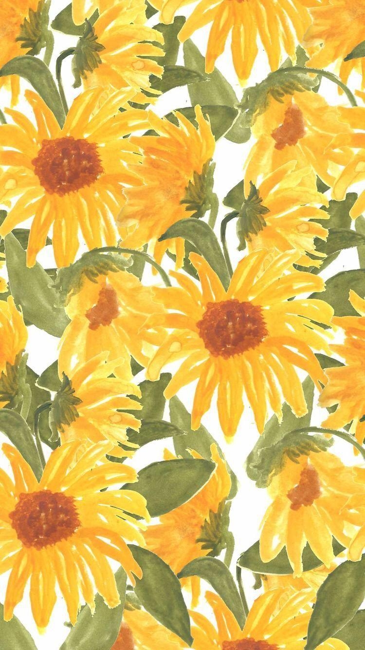 Sonnenblume, Telefon, Hintergrund, Bild, Blumen, 750x1340 HD Handy