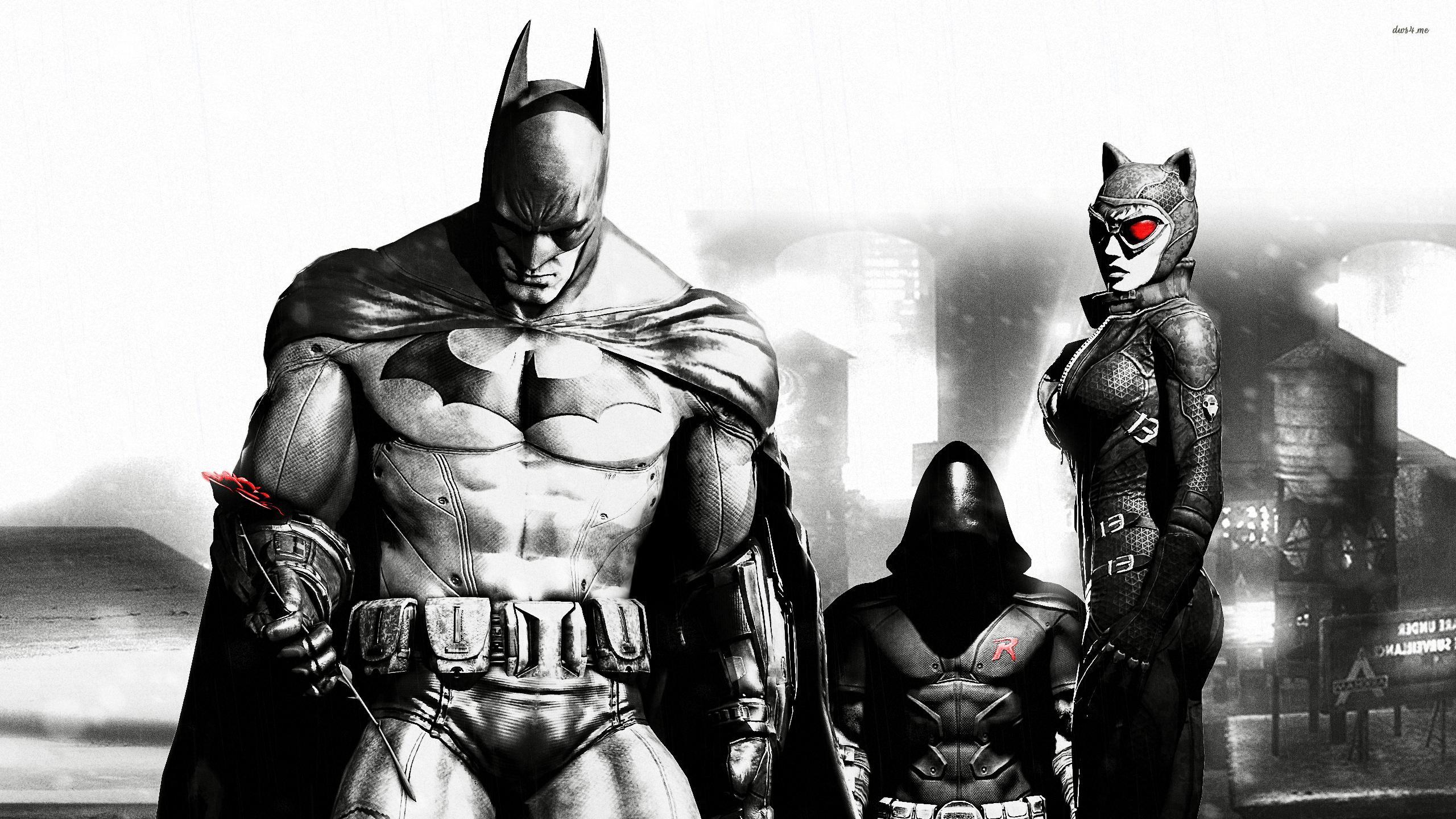 Batman, Catwoman, Robin, Gaming, Arkham City, 2560x1440 HD Desktop