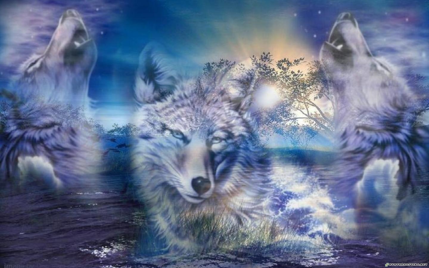 Der mit dem Wolf tanzt, Kostenlos, Hintergrund, Wallpaper, 1920x1200, 1440x900 HD Desktop