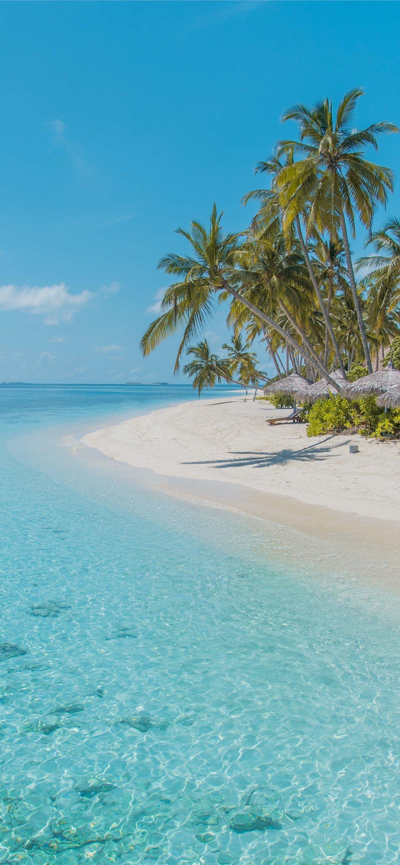 Barbados Bildschirmschoner, iPhone, Strand, Reise, 1290x2780 HD Handy