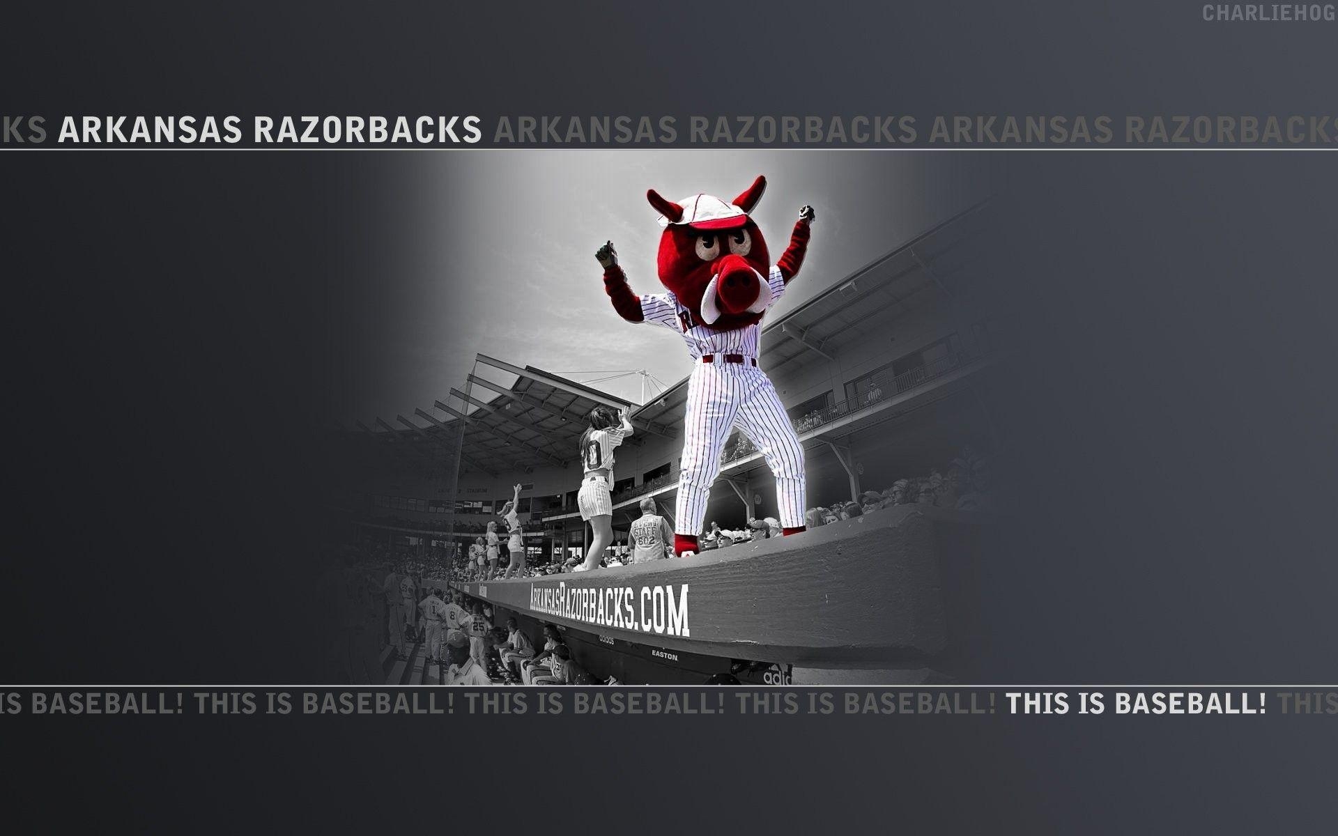 Razorback, Arkansas, Reisen, USA, Bild, 1920x1200 HD Desktop