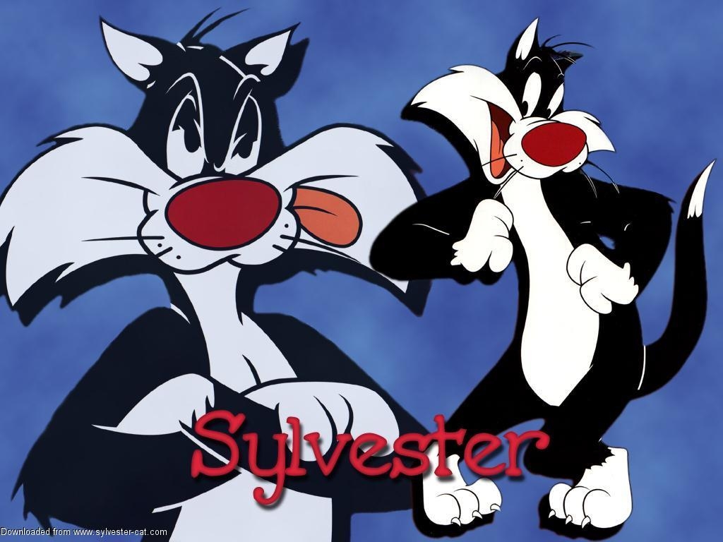 Sylvester Katze, Desktop, Mobil, HD, Kostenlos, 1030x770 HD Desktop