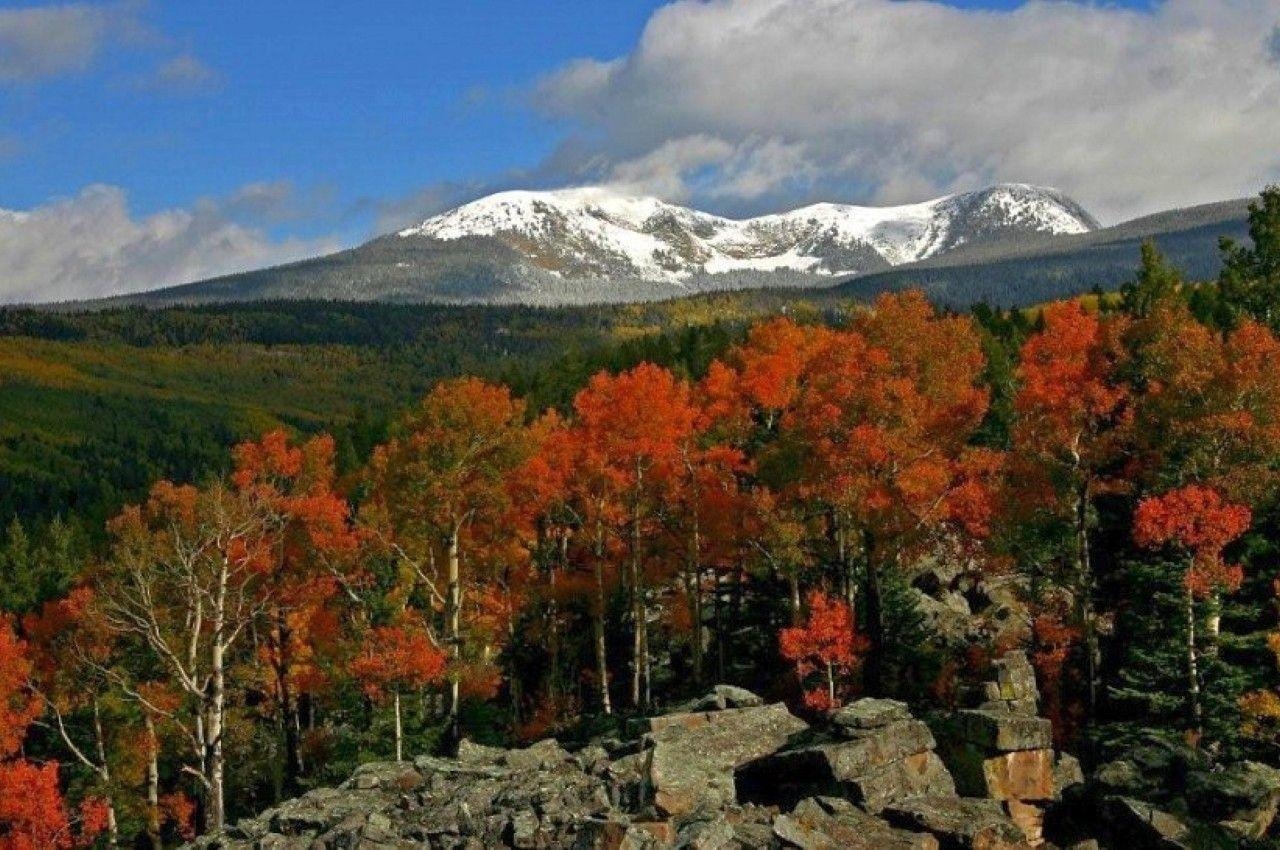 Mount Baldy, Neue Mexiko, Berglandschaft, Natur, Erholung, 1280x850 HD Desktop