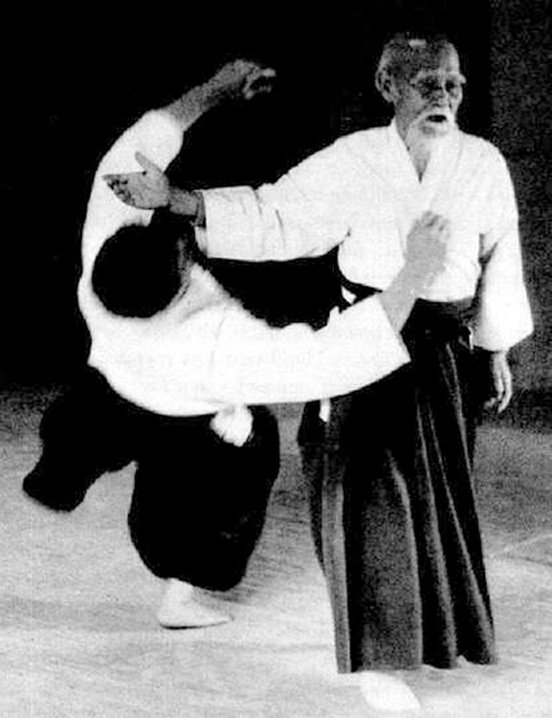 Aikido, Sportblog, Hintergrund, Art, Training, 800x1040 HD Handy