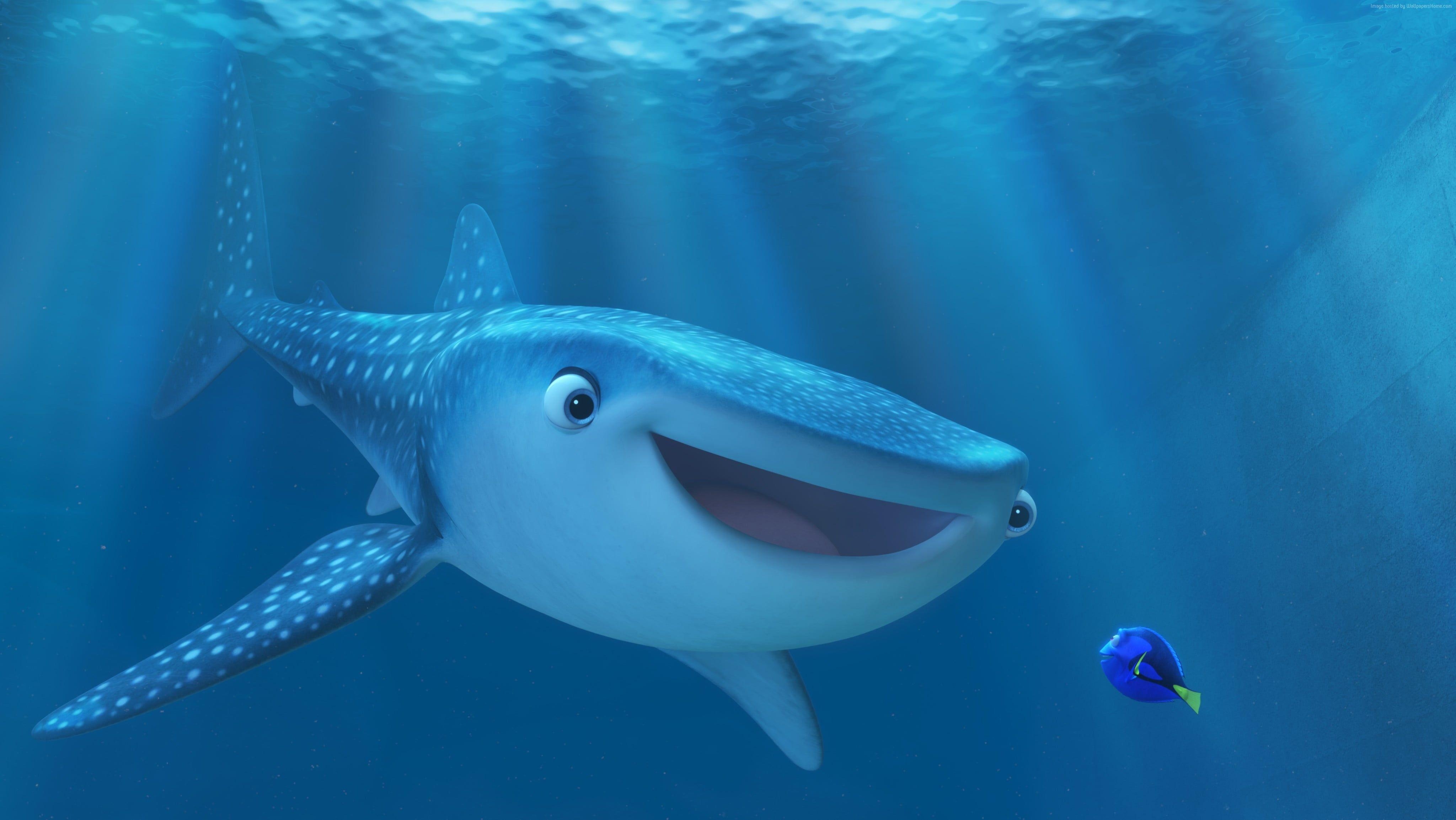 Findet Dorie, Pottwal, Disney, Szene, Film, 4100x2310 4K Desktop