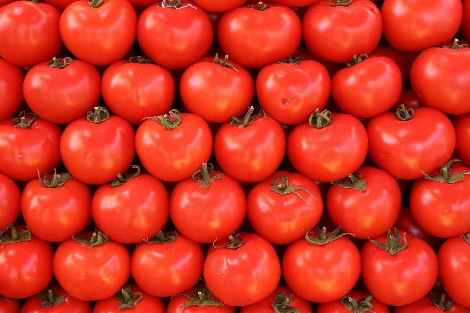 Tomate, Bild, Hintergrund, Gemüse, Essen, 1600x1070 HD Desktop