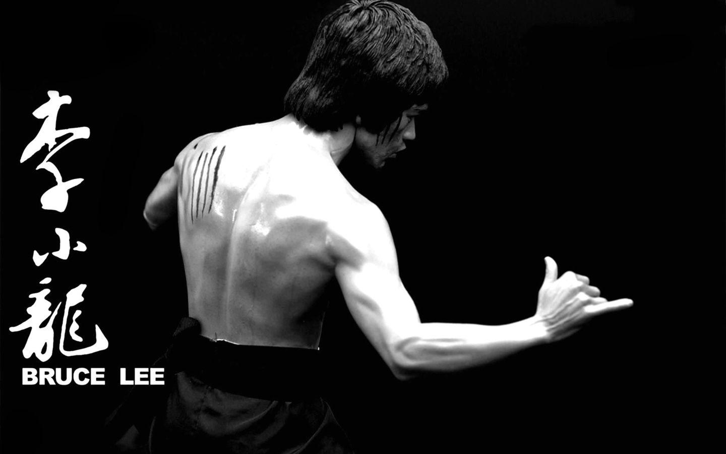 Bruce Lee, Bild, Filme, HD, Hintergrund, 1440x900 HD Desktop