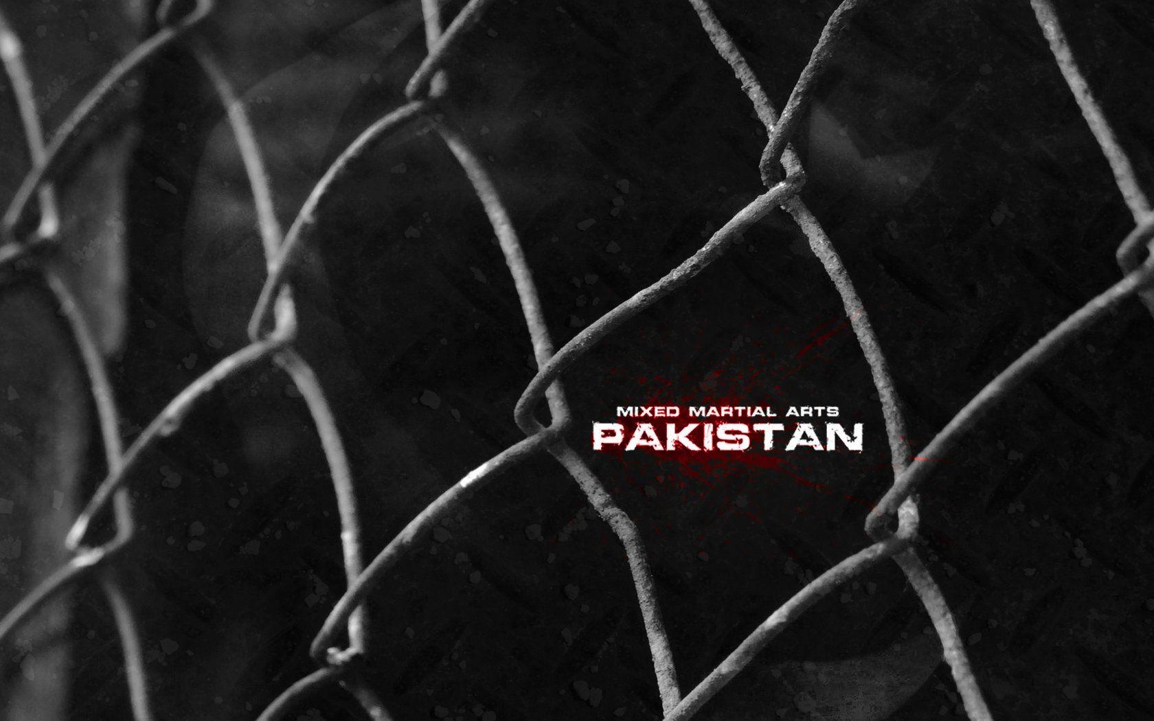 MMA, Kämpfer, Sport, Pakistan, Version 11, 1680x1050 HD Desktop