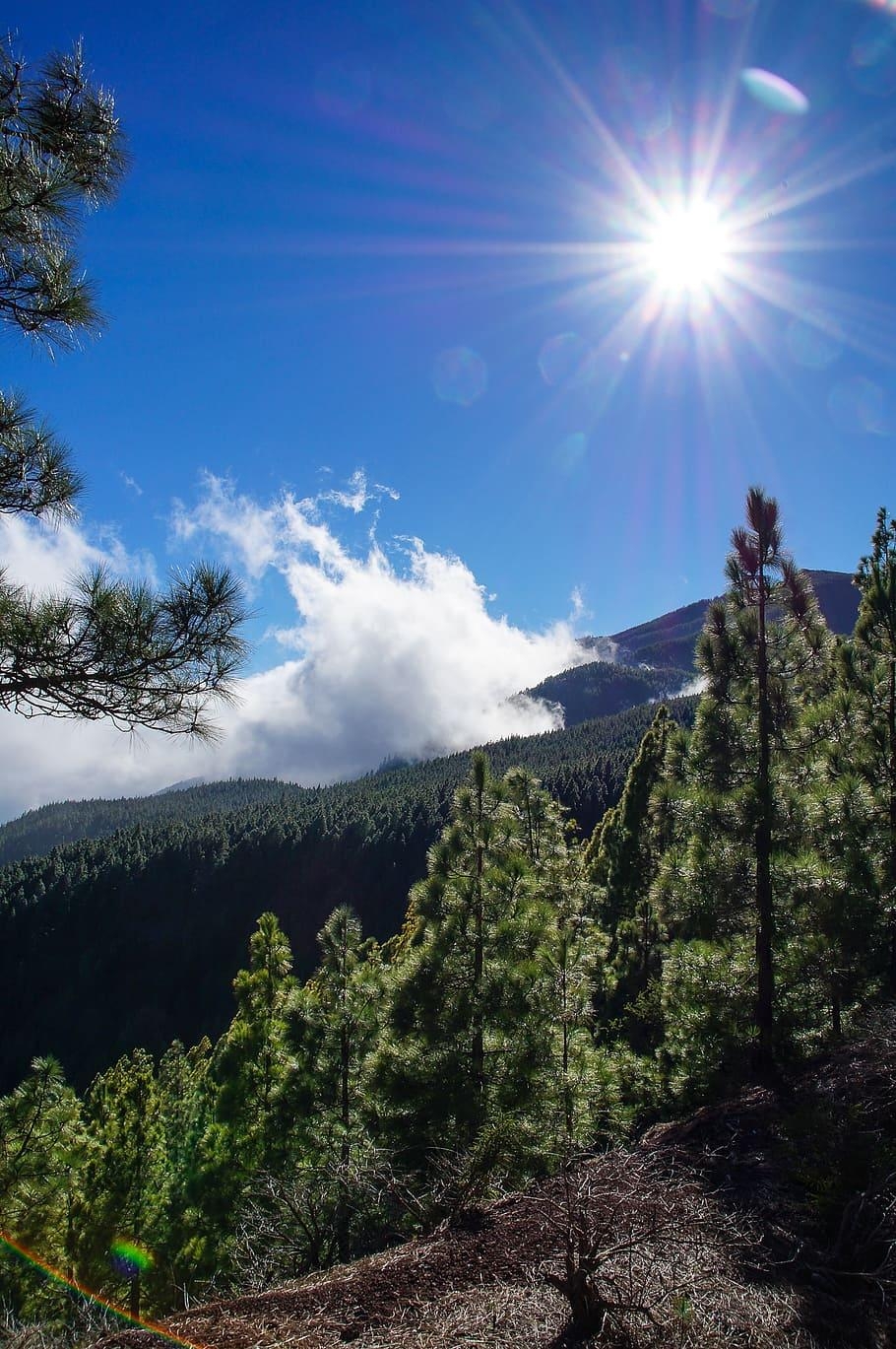 Teneriffa, Kanarische Inseln, Teide, HD, Spanien, 910x1370 HD Handy