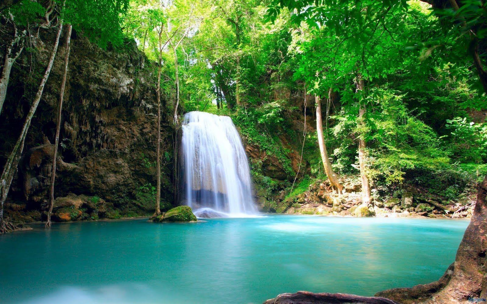 Regenwald Wasserfälle, tropisch, HD Bild, Costa Rica, 1600x1000 HD Desktop