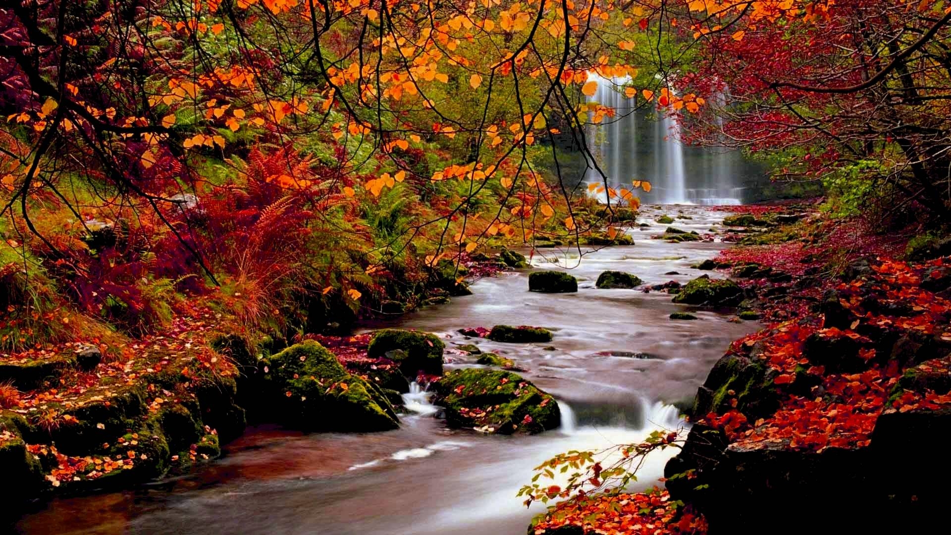 Herbst, Natur, bunte Blätter, Jahreszeitenwechsel, Erntezeit, 1920x1080 Full HD Desktop