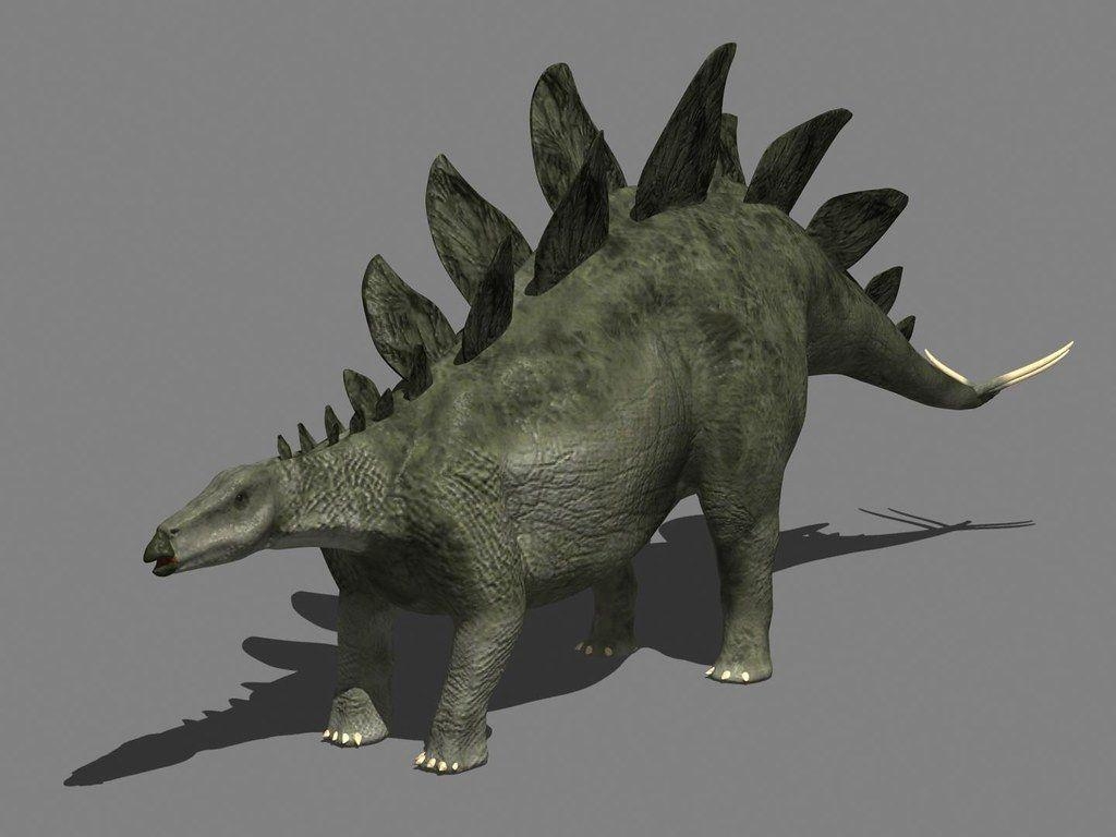 Stegosaurus, Wallpaper, Foto Download, Bildformate, online, 1030x770 HD Desktop
