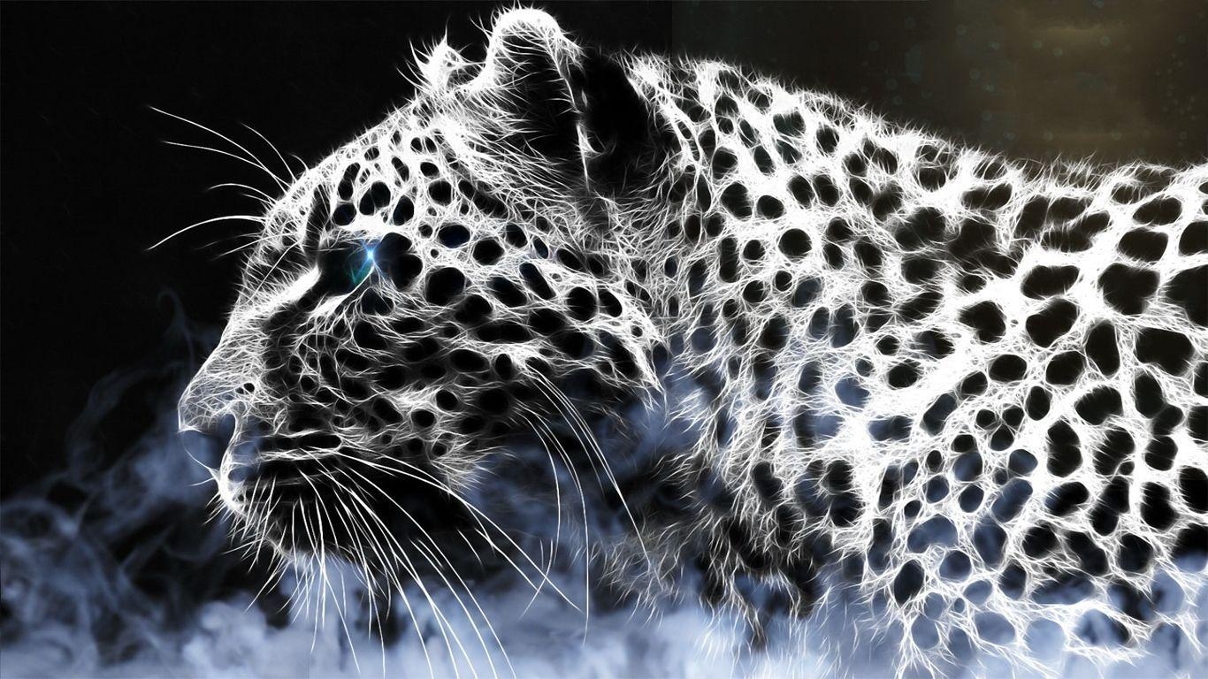 Leopard, Fotografie, Justin Petrie, Tiere, Wildnis, 1370x770 HD Desktop