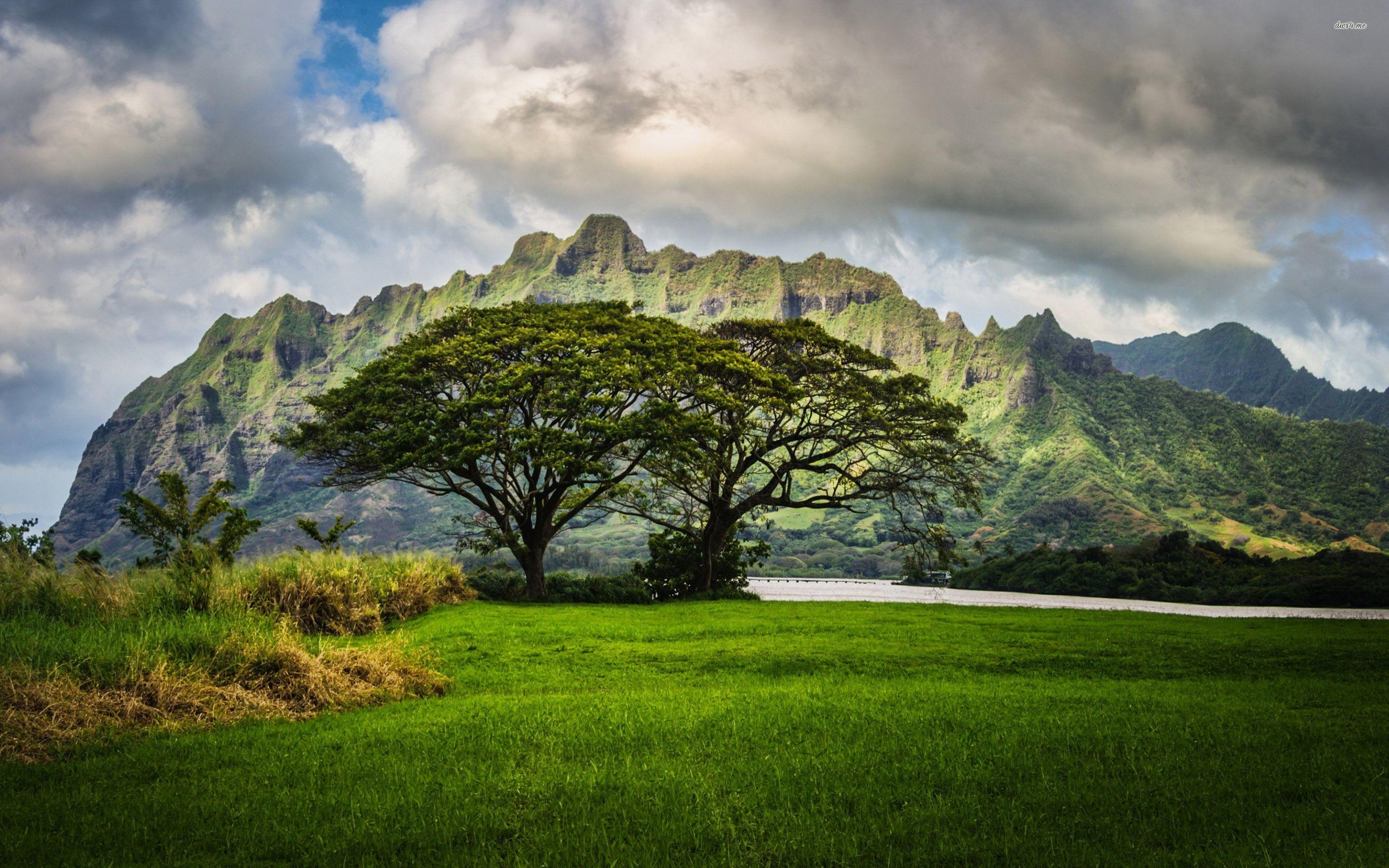 Oahu, Berge, Reisen, Natur, Landschaft, 2880x1800 HD Desktop