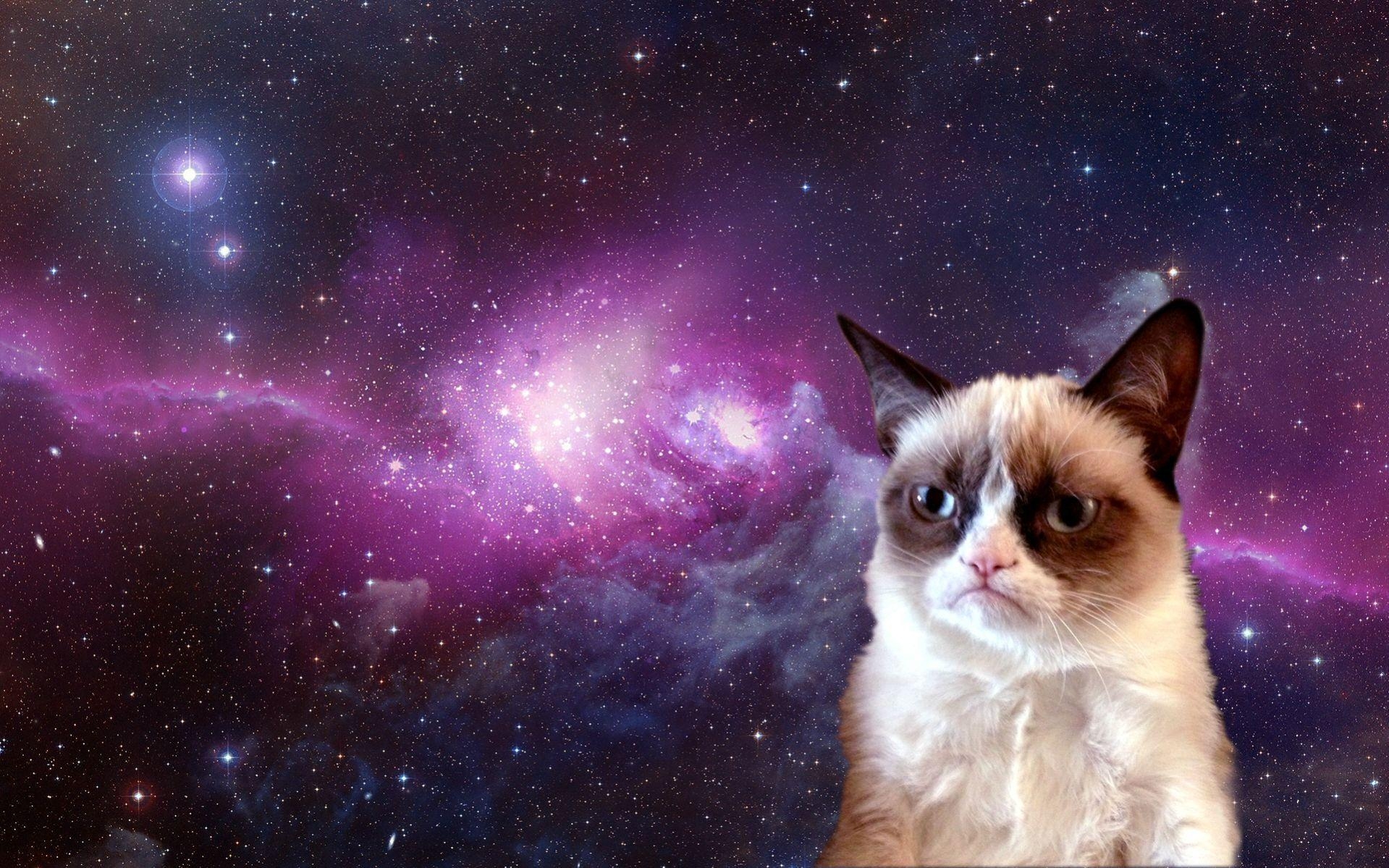 Grumpy Cat, Galaxie, Hintergrund, Lustig, Berühmt, 1920x1200 HD Desktop