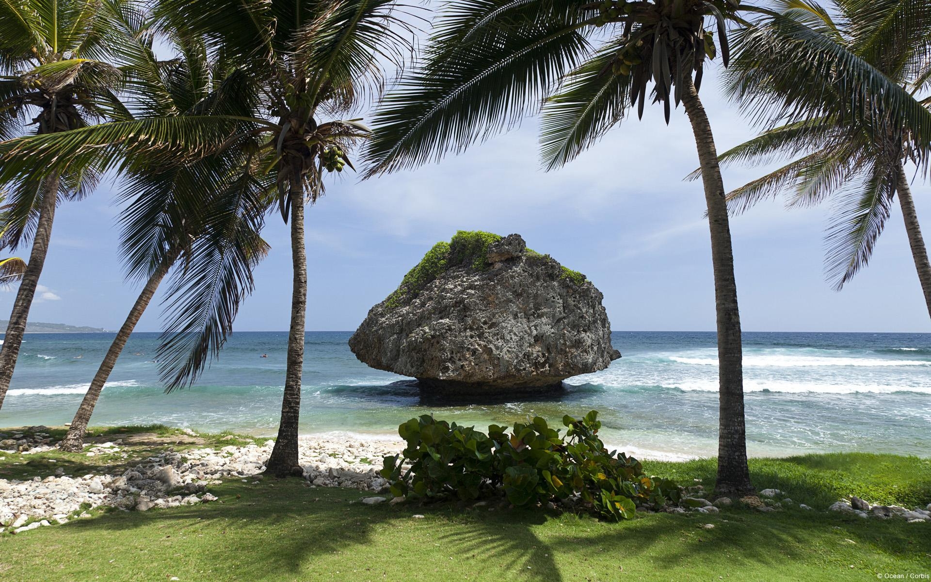 Karibik, Barbados, Bild, Natur, Reisen, 1920x1200 HD Desktop