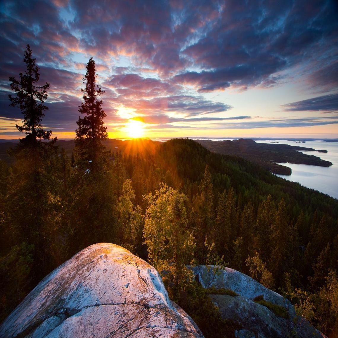 Finnland, Nationalpark, Koli, Reisen, Natur, 1140x1140 HD Handy