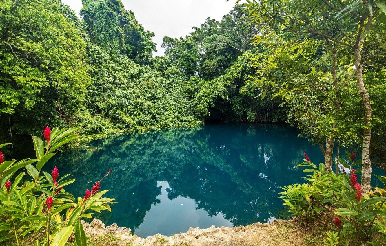 Vanuatu, Natur, Bäume, Teich, tropisch, 1340x850 HD Desktop