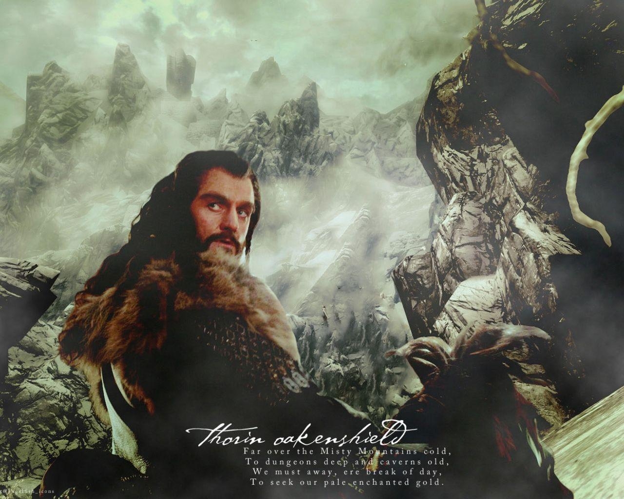 Thorin Eichenschild, Hobbit, 1680x1050, Fantasy, Held, 1280x1030 HD Desktop