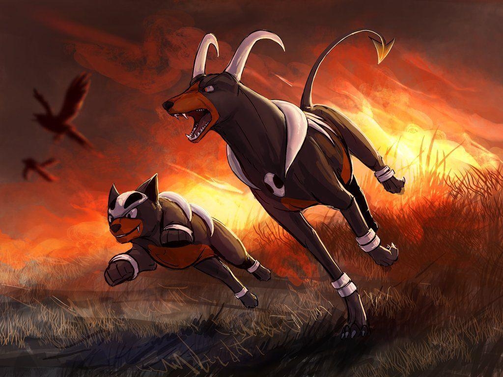 Houndoom, Glühende, Unruhestifter, Pokémon, Spannung, 1030x770 HD Desktop