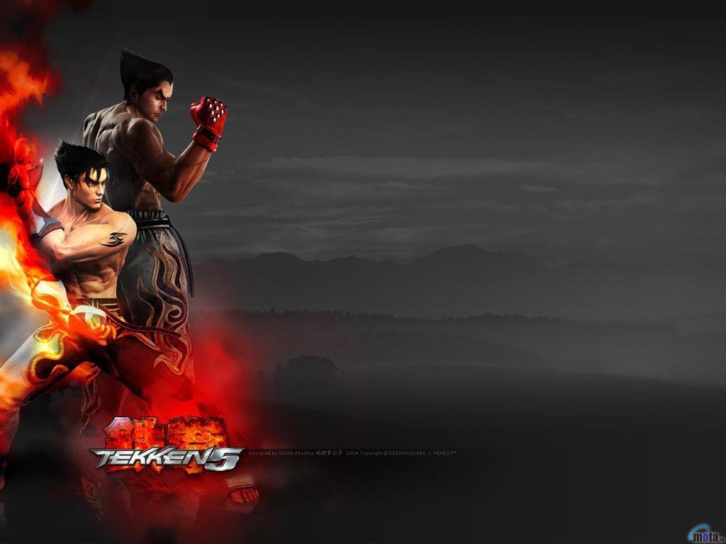 Jin Kazama, Tekken 5, Gaming, Wallpaper, Bild, 1030x770 HD Desktop