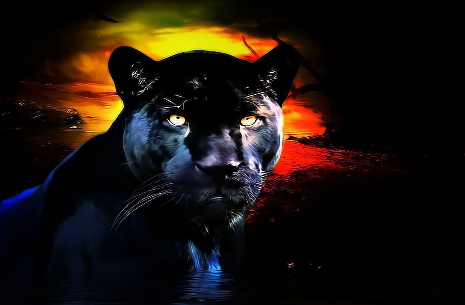 Schwarzer Panther, HD, Tier, Hintergrund, 1920x1080, 1600x1050 HD Desktop