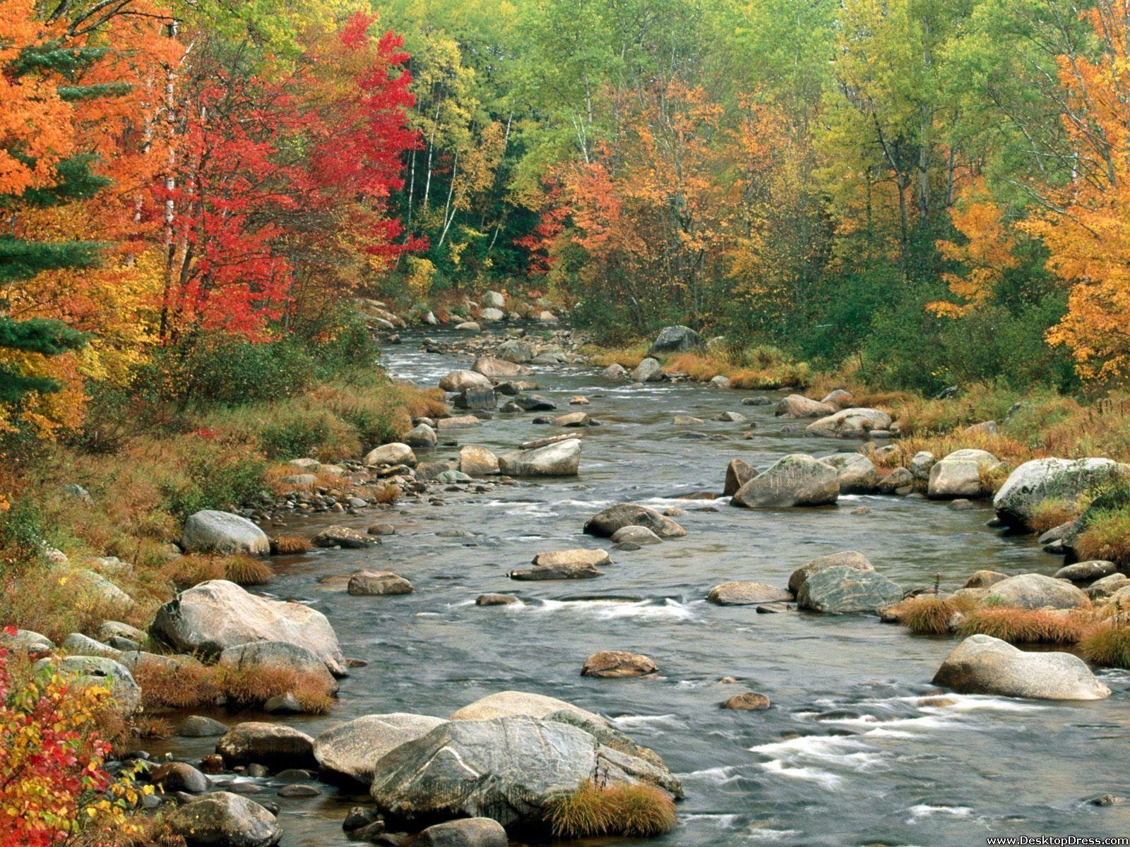 Herbstfarben, Natur, Hintergrund, New Hampshire, Landschaft, 1600x1200 HD Desktop