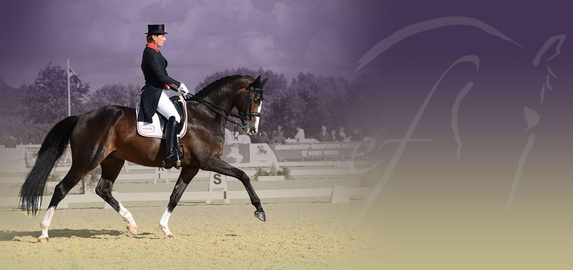 Emile Faurie, internationale Dressur, Großbritannien, Pferdetrainer, Reitsport, 2000x950 Dual Screen Desktop