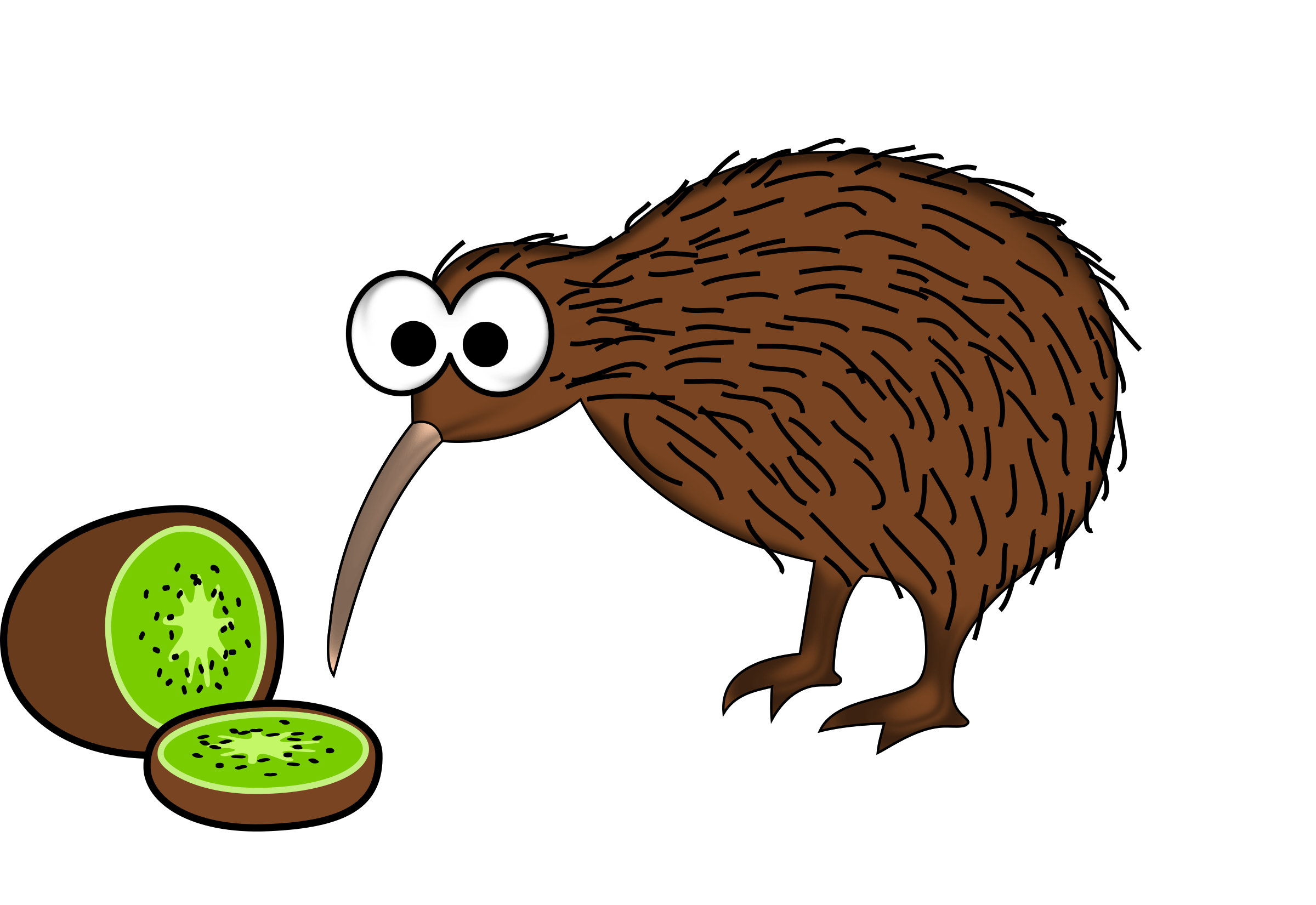 Kiwi Vogel, PNG, kostenlos, Tier, Bild, 2400x1660 HD Desktop