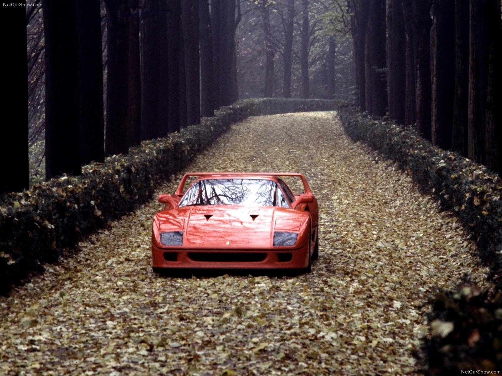 Ferrari F40, Autohintergrund, Hochauflösend, Download, Fahrzeug, 1600x1200 HD Desktop