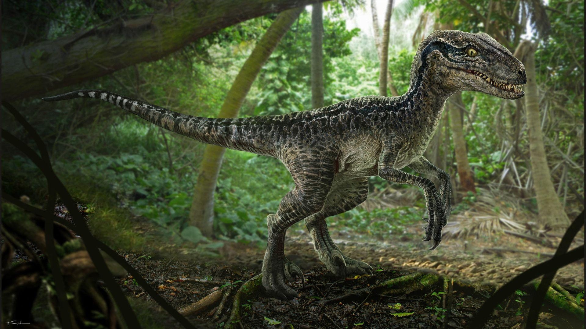 Spinosaurus, Velociraptor, Dinosaurier, prähistorisch, Tiere, 1920x1080 Full HD Desktop