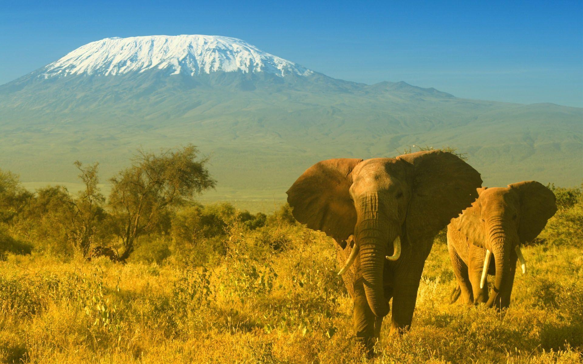 Kenia, Reisen, Afrika, Natur, Landschaft, 1920x1200 HD Desktop